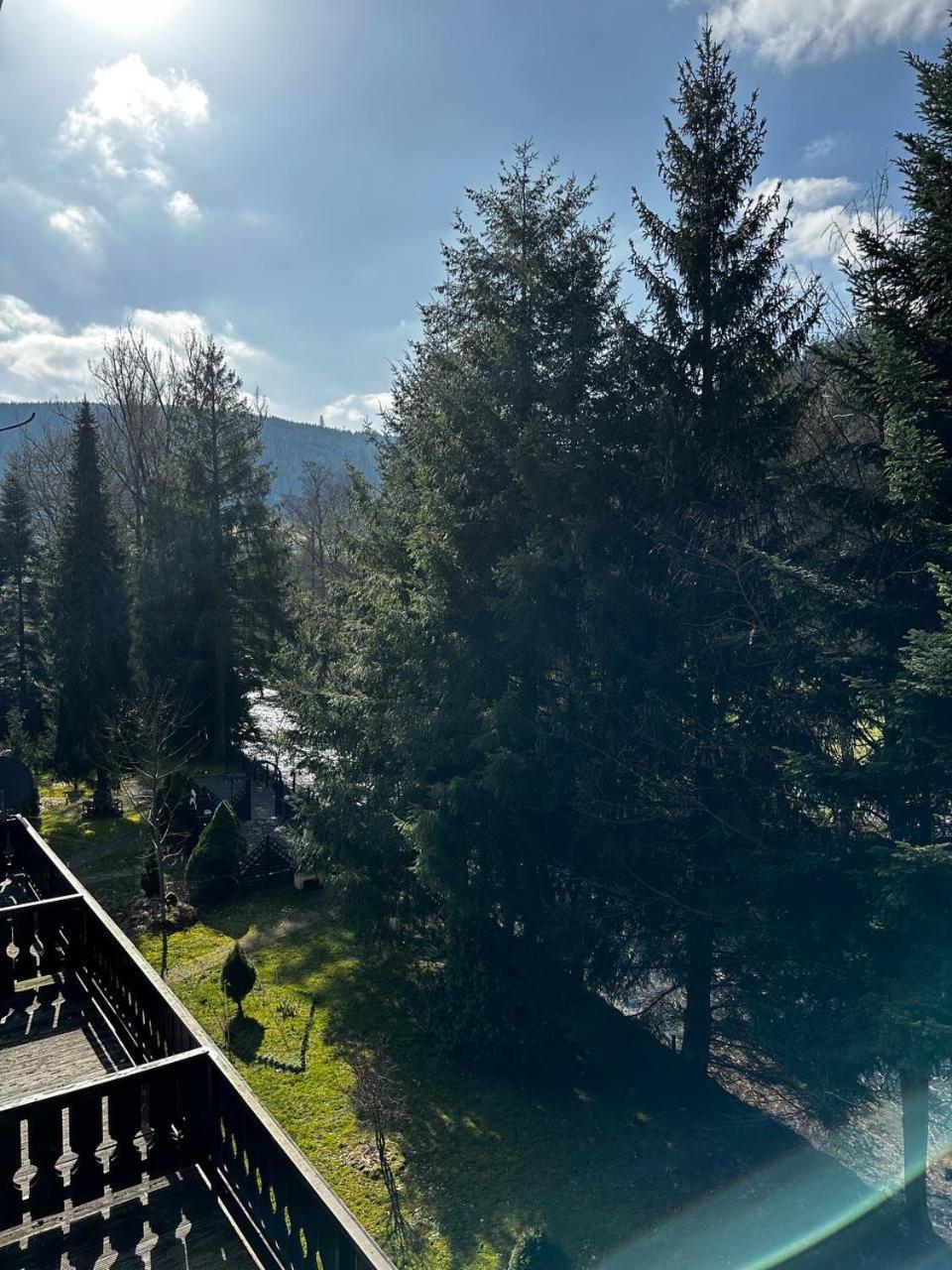 Schwanen-Resort Baiersbronn Kültér fotó